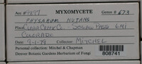 Image Associated With the Occurence